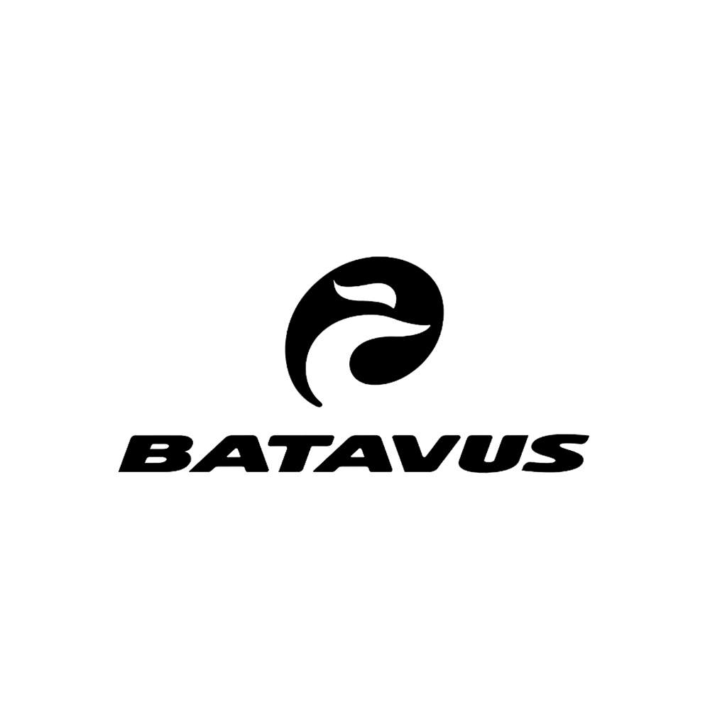 Mehr über Batavus
